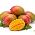 WhatsApp Image 2026 02 08 at 12.45.40 AM