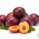 WhatsApp Image 2026 02 08 at 12.47.00 AM