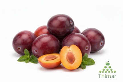 WhatsApp Image 2026 02 08 at 12.47.00 AM