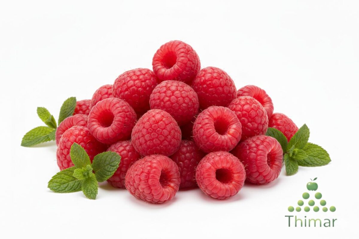 WhatsApp Image 2026 02 08 at 12.48.00 AM