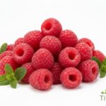 WhatsApp Image 2026 02 08 at 12.48.00 AM