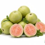 WhatsApp Image 2026 02 08 at 12.49.26 AM