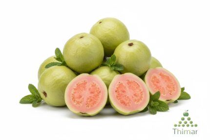 WhatsApp Image 2026 02 08 at 12.49.26 AM