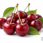 WhatsApp Image 2026 02 08 at 12.50.11 AM