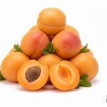 WhatsApp Image 2026 02 08 at 12.51.24 AM