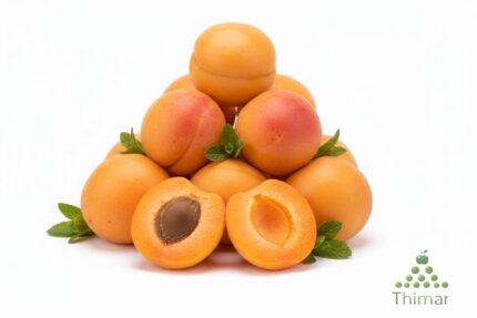 WhatsApp Image 2026 02 08 at 12.51.24 AM