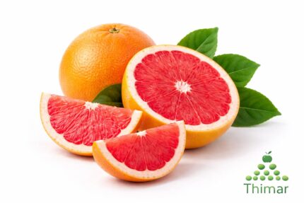 WhatsApp Image 2026 02 08 at 12.52.27 AM