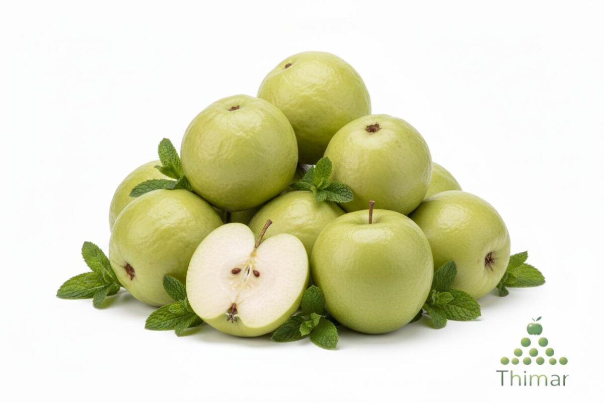 WhatsApp Image 2026 02 08 at 12.52.58 AM