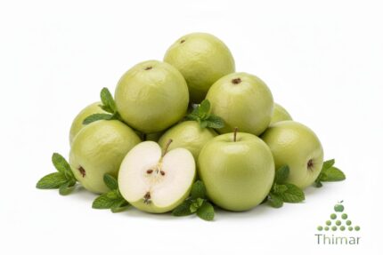 WhatsApp Image 2026 02 08 at 12.52.58 AM