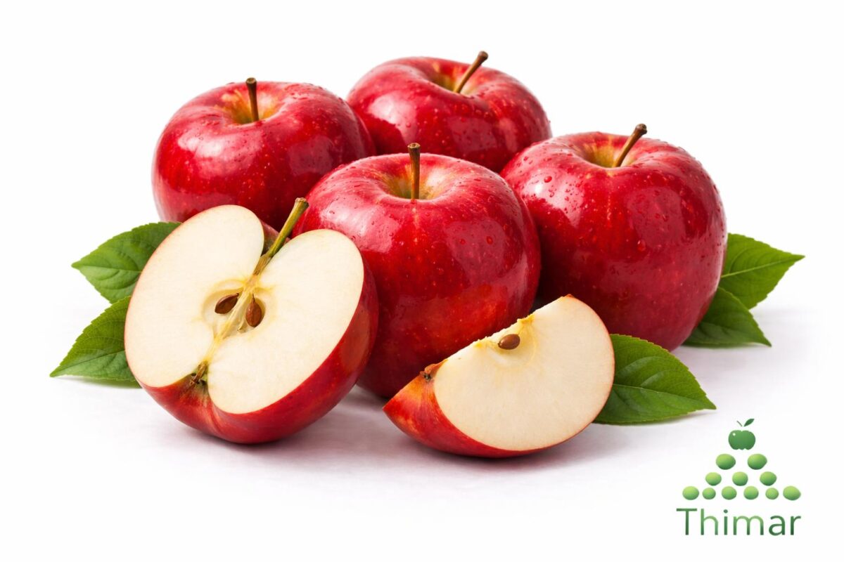 WhatsApp Image 2026 02 08 at 12.54.00 AM