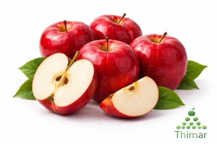 WhatsApp Image 2026 02 08 at 12.54.00 AM